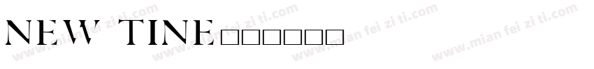 NEW TINE字体转换